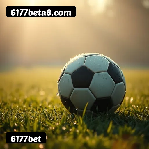 Logo da 6177bet